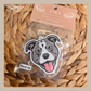 Air Fresheners