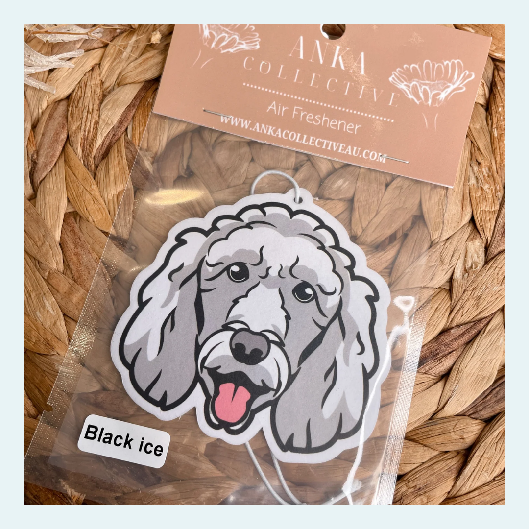 Standard Poodle White
