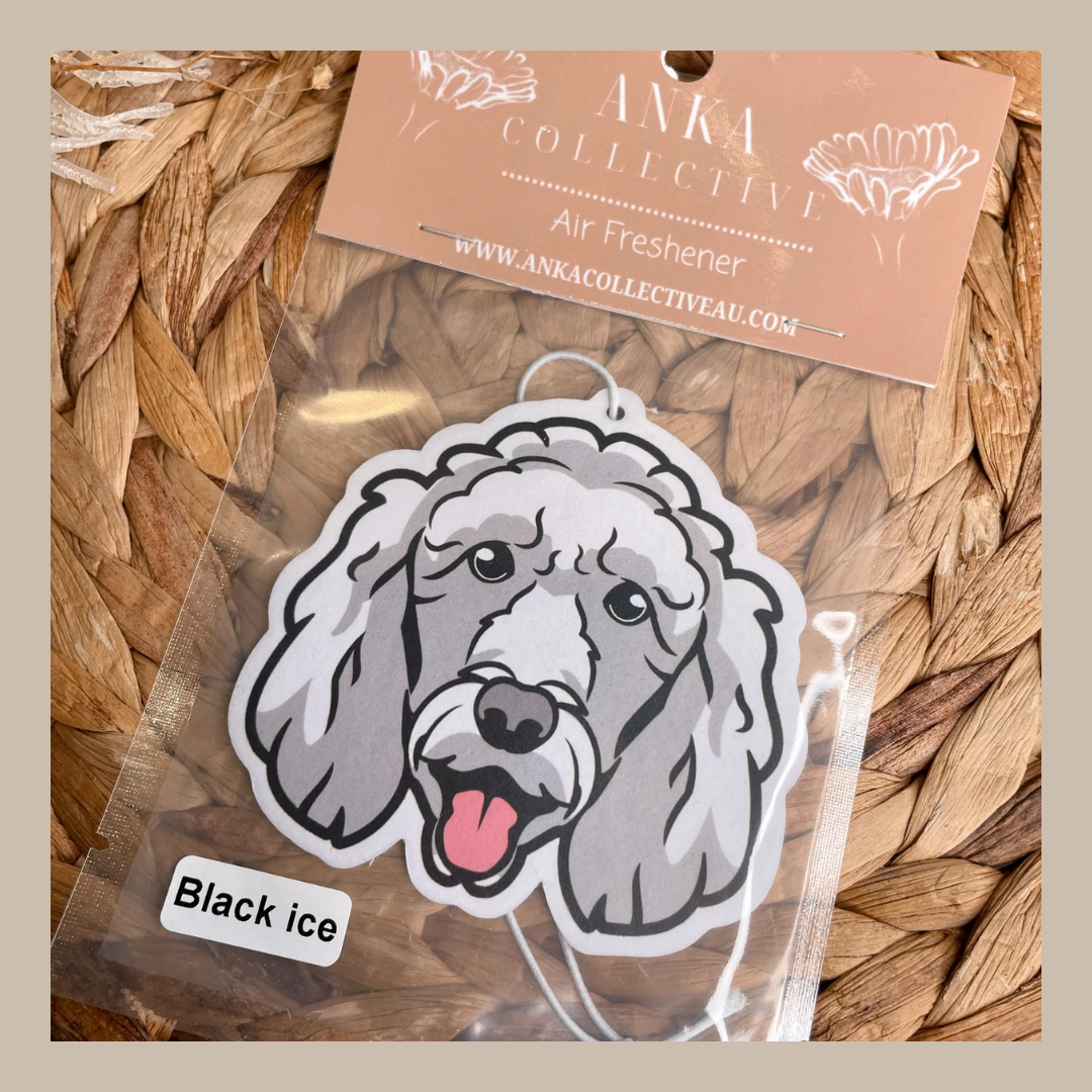 Standard Poodle White