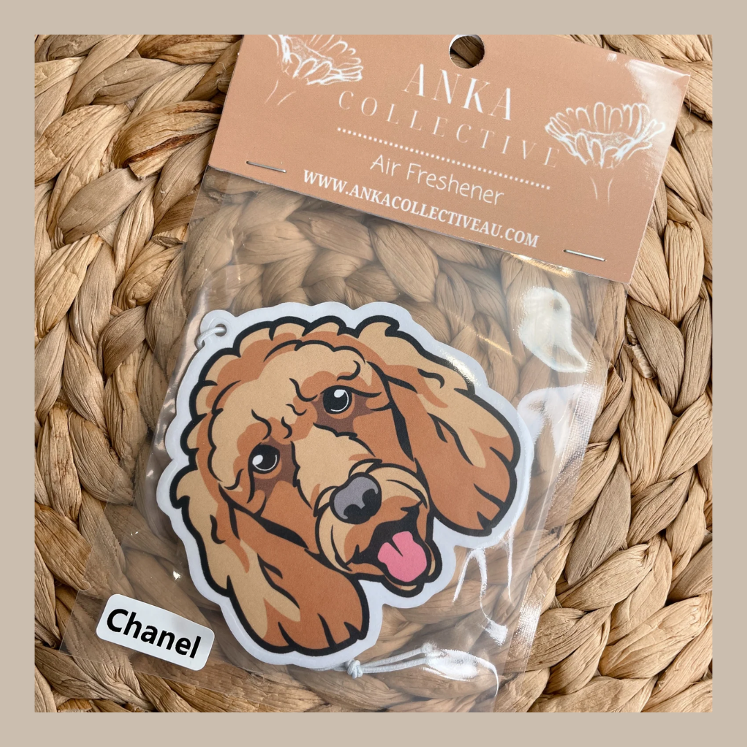 Standard Poodle