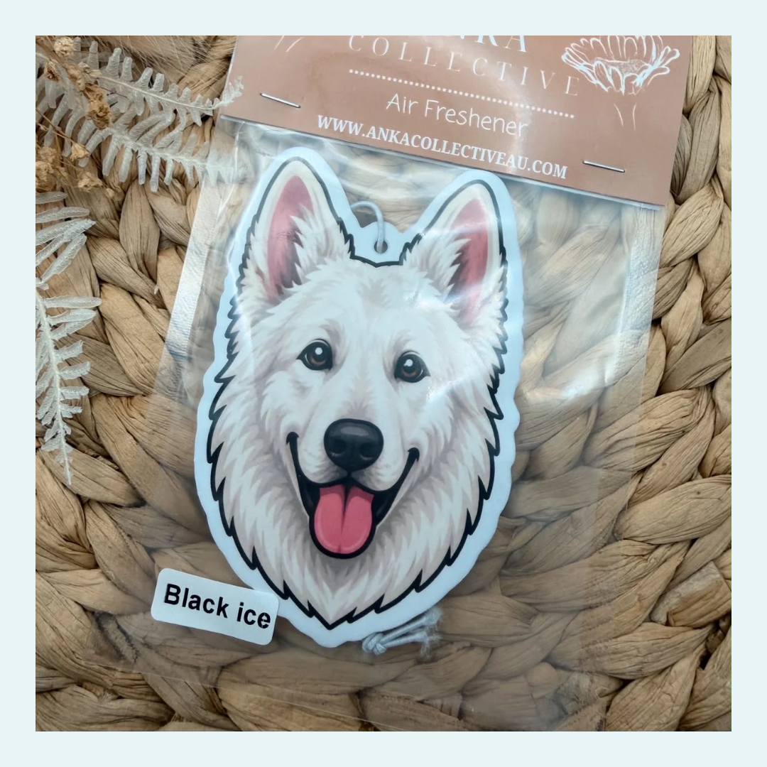Swiss Shepard