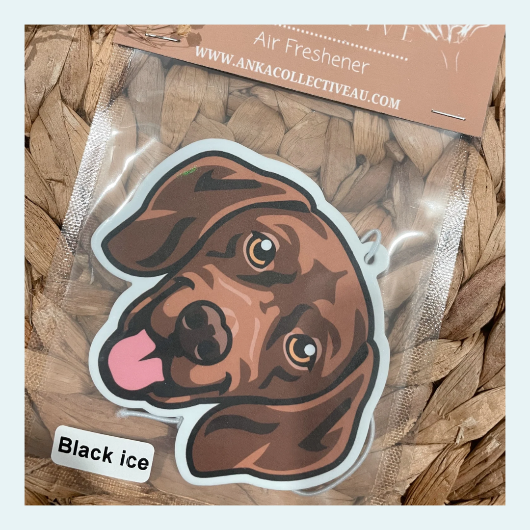 Vizsla