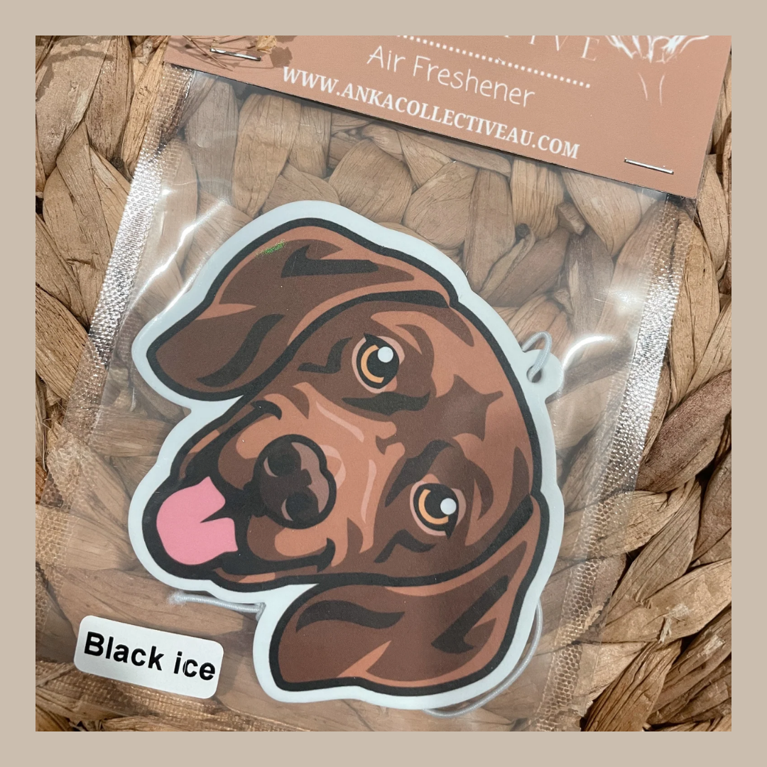 Vizsla