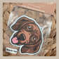 Vizsla