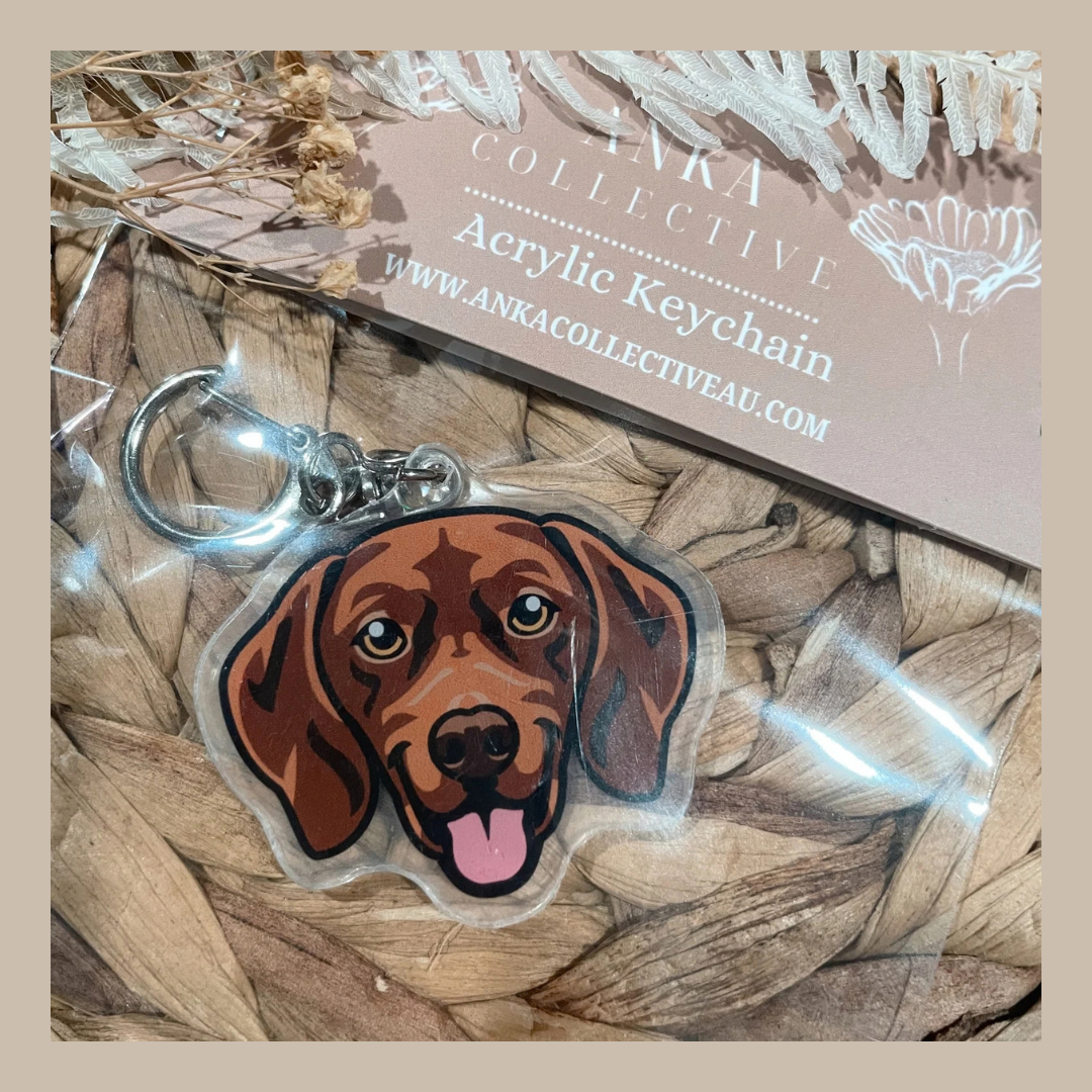 Vizsla