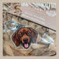 Vizsla