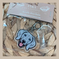 Weimaraner