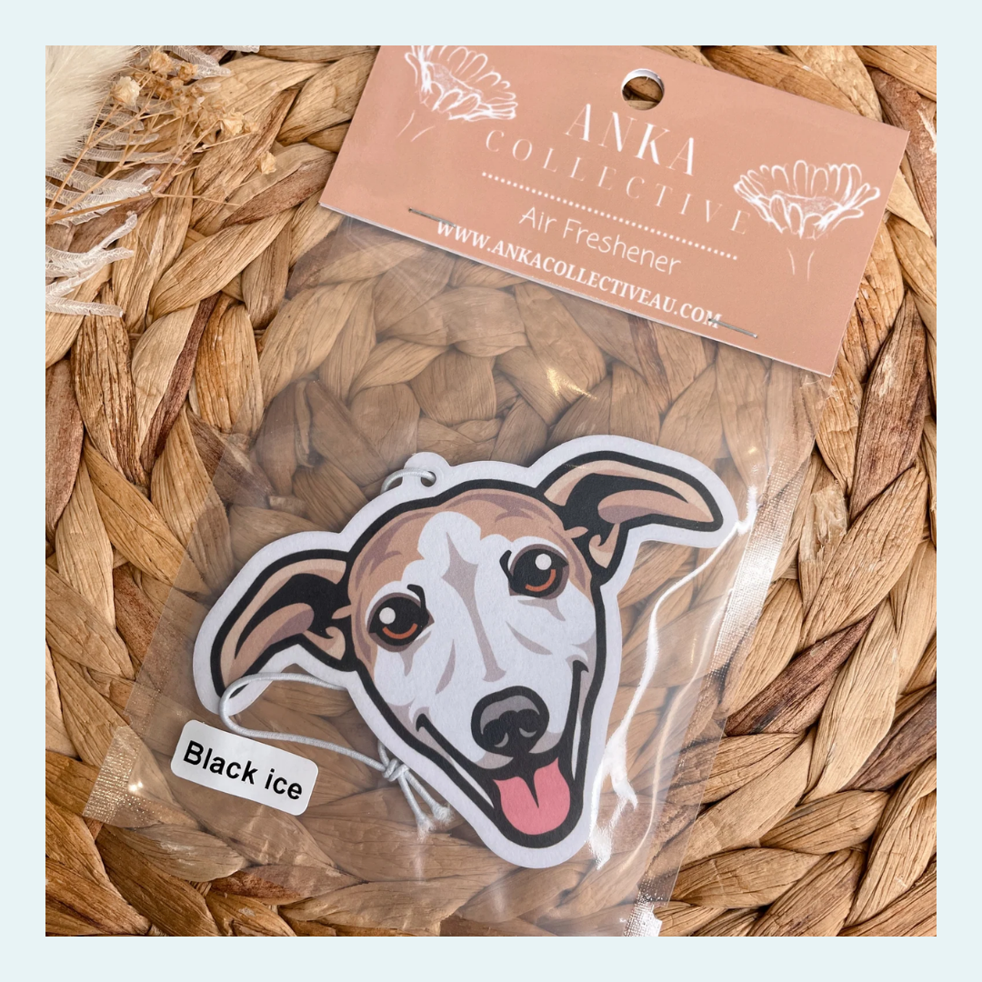 Whippet