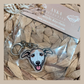 Whippet