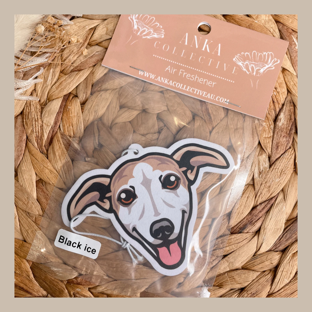 Whippet