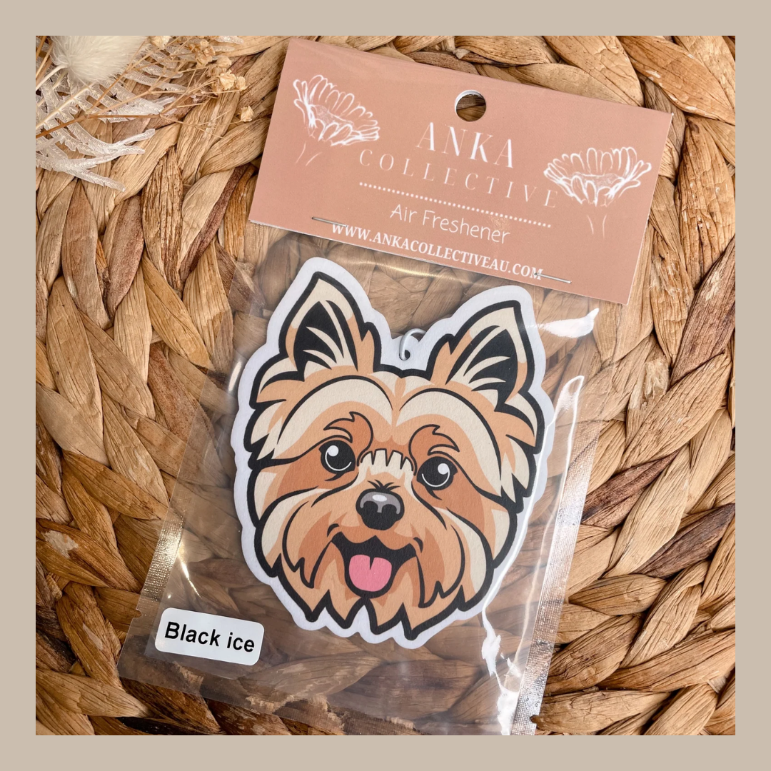 Yorkie