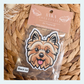 Yorkie