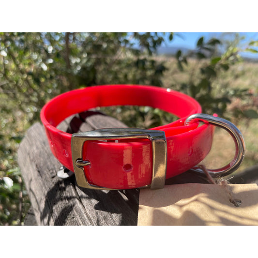 Dog Collar - 25mm wide, Medium