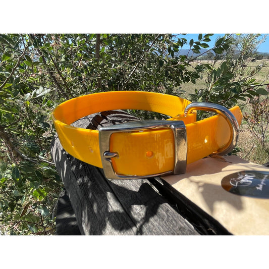 Dog Collar - 25mm wide, Medium - Yellow