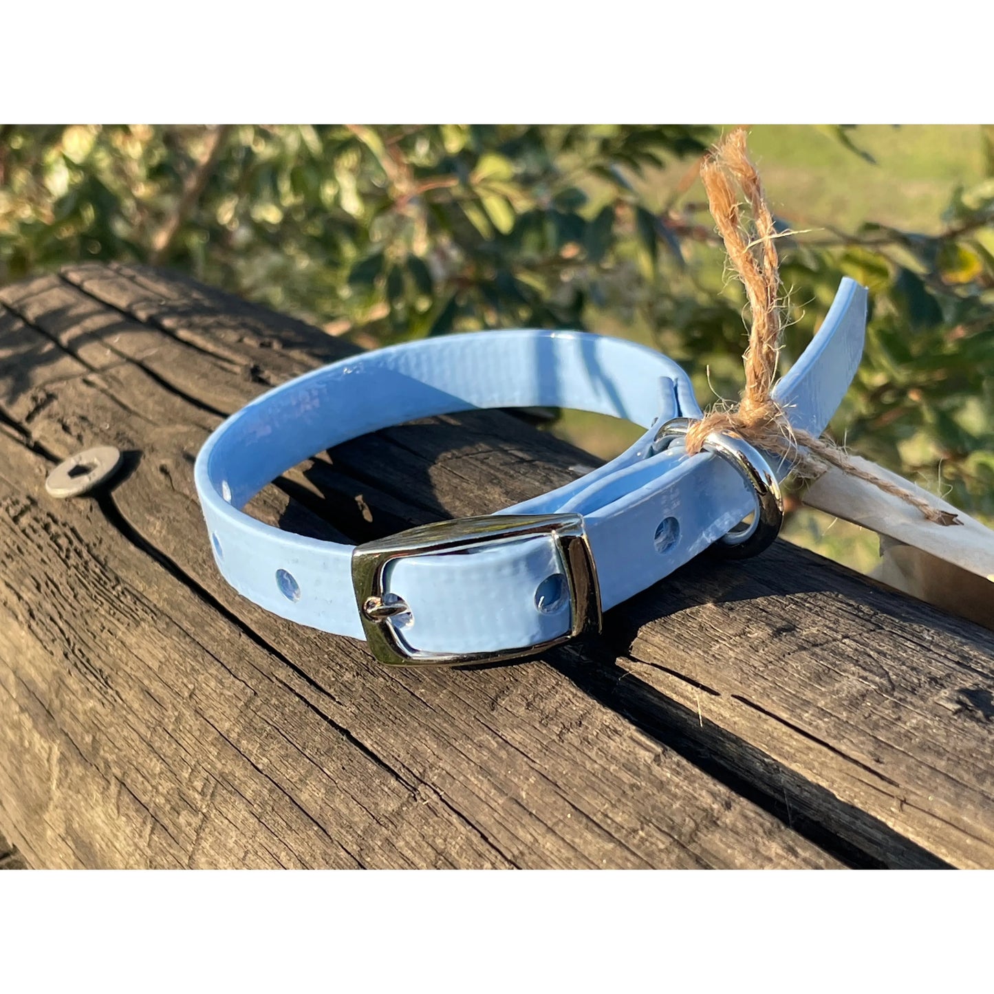 Dog Collar - 19mm wide, Medium